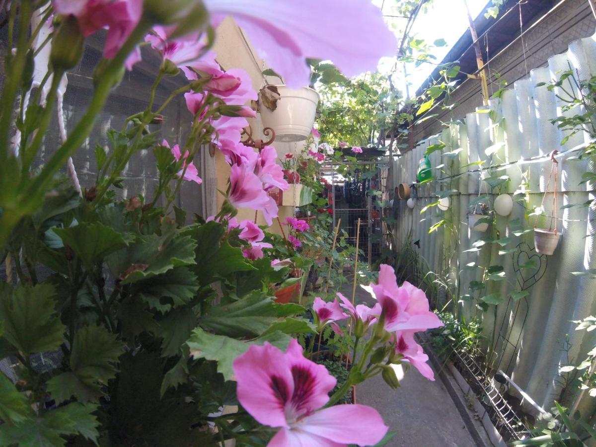 דירות Casa Milly קונסטנצה מראה חיצוני תמונה